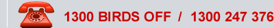 icon-phone.gif